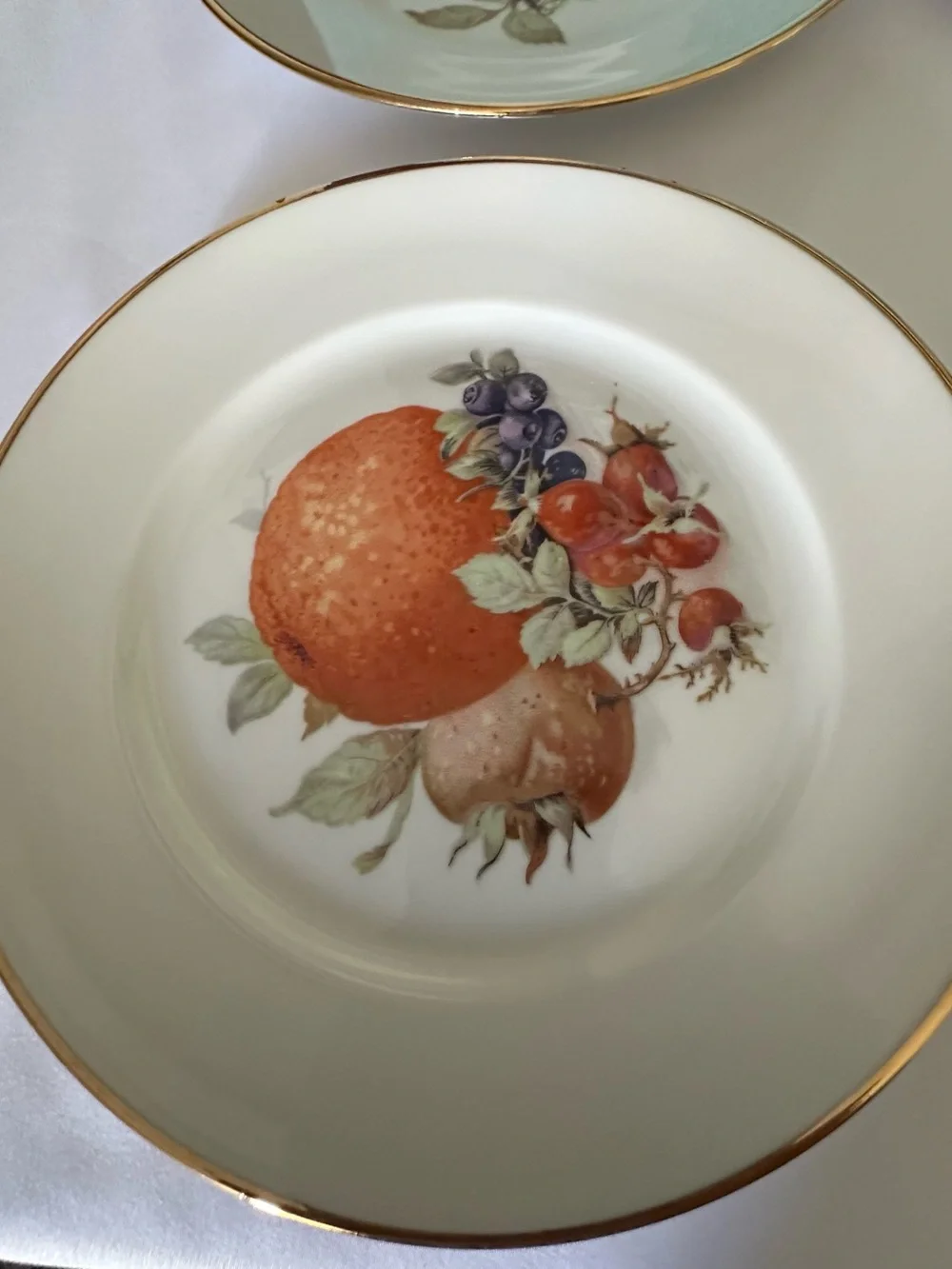 Porcelain Fruit Dessert Plates with Gold Rim - White (Set) 6